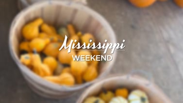 Fall into the season with these 7 Pumpkin Patches around Mississippi